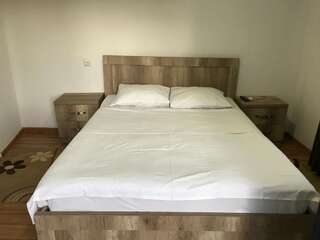 Отель Hotel Eurica Кутаиси Стандартный двухместный номер с 1 кроватью-5