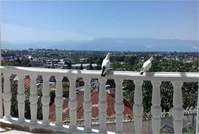 Отель Hotel Eurica Кутаиси-25